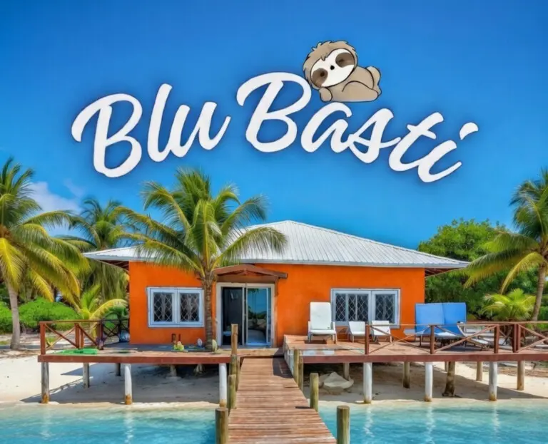 1850 x 1500 px (No Background)