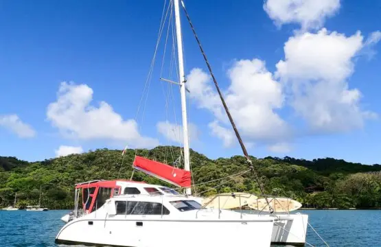 372d840d e9a6 4497 ae11 cdccc641d6d8.jpg