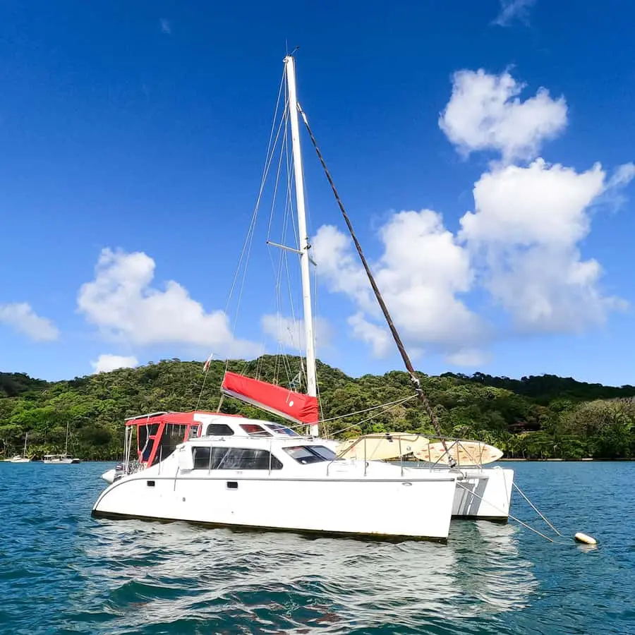 372d840d e9a6 4497 ae11 cdccc641d6d8.jpg