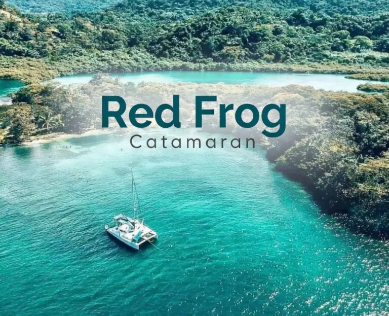 65488cbb 9a13 4c2d a79f 26edb25e4140.jpg