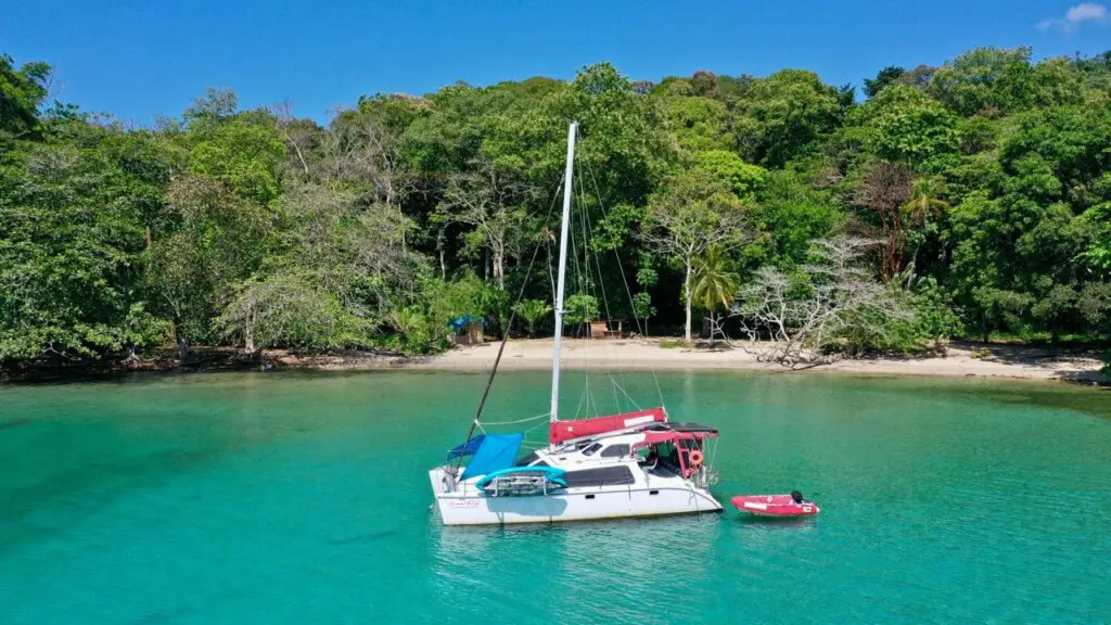 c8789565 0f80 469c 86dc 5ae27f6def9b.jpg