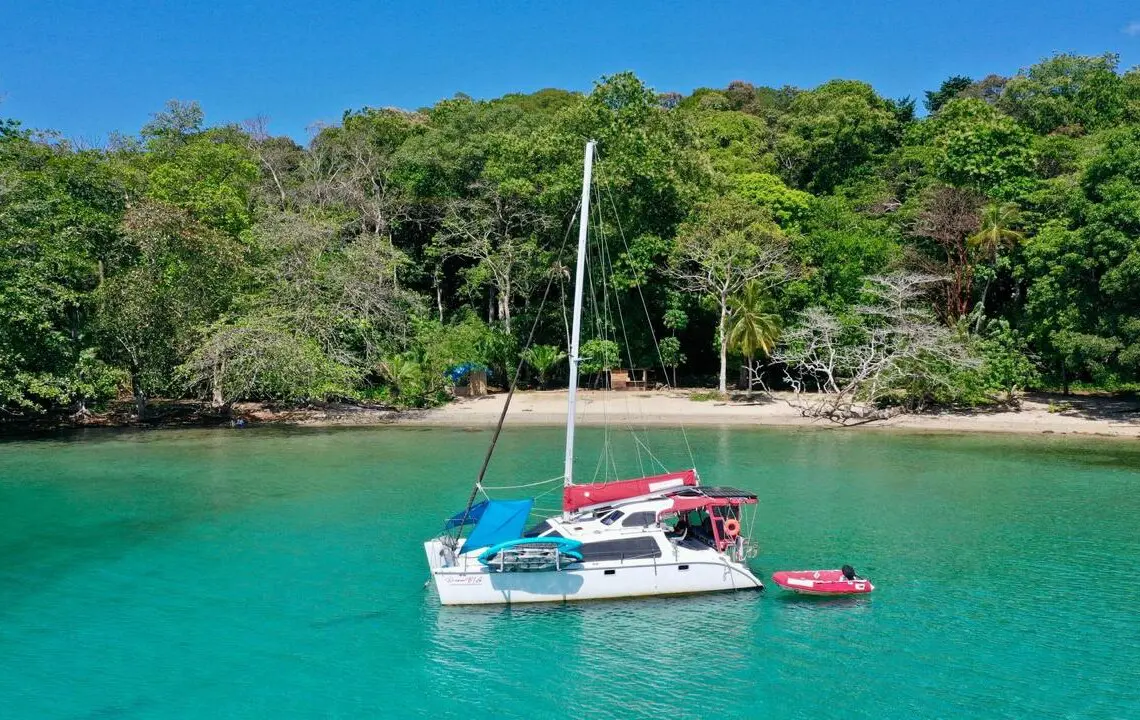 c8789565 0f80 469c 86dc 5ae27f6def9b.jpg