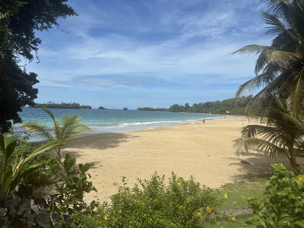 8527b033 3fe9 414d a85a 20cce213ef39.jpg