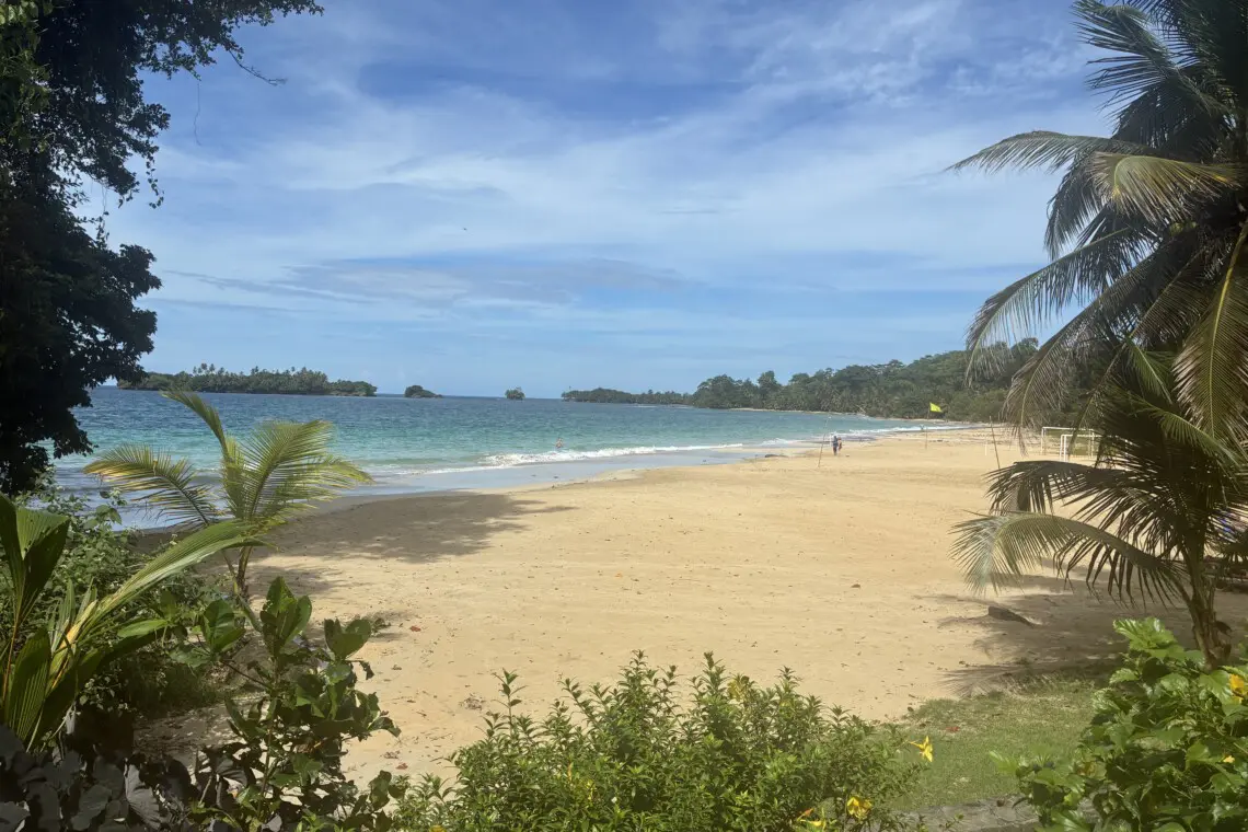 8527b033 3fe9 414d a85a 20cce213ef39.jpg