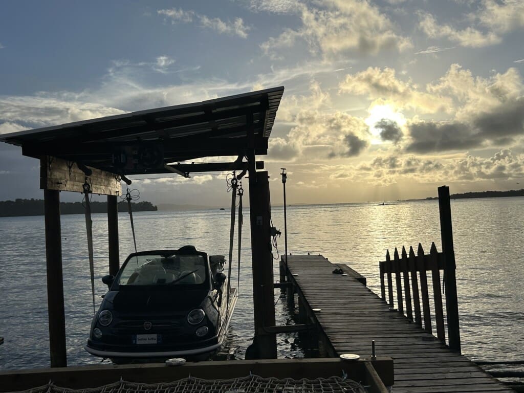 IMG 7534
